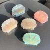 Non-slip Acetate Shell Hair Claw Jewelry Rhinestone Crab Clip Creative Shell Shark Clip  Girl