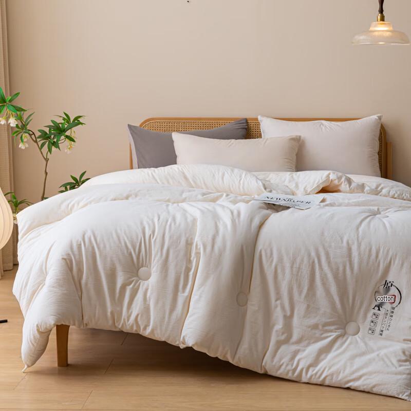 Jeliya All-Season Soybean Protein Blended Quilt