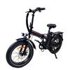 BAOLUJIE DZ2031 Electric Bike 20*4.0" Fat Tire, 500W Motor 48V 13Ah Battery 35-45km Range 40km/h Max Speed Mechanical Disc Brake