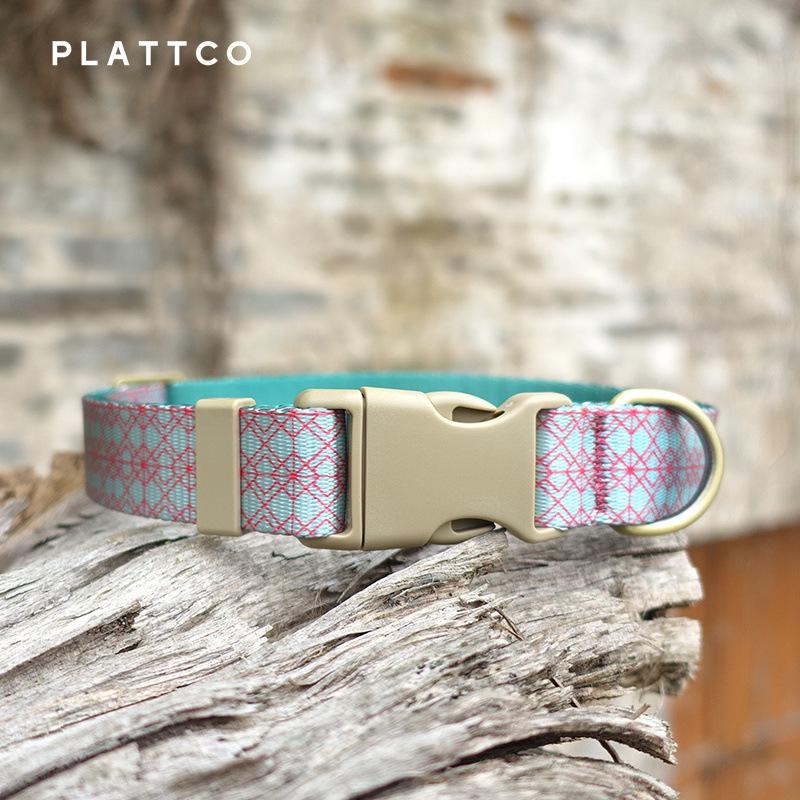PLATTCO British Style Dog Collar in Mint Glaze - PDC369 XS: 1.5cm x (23-30cm)