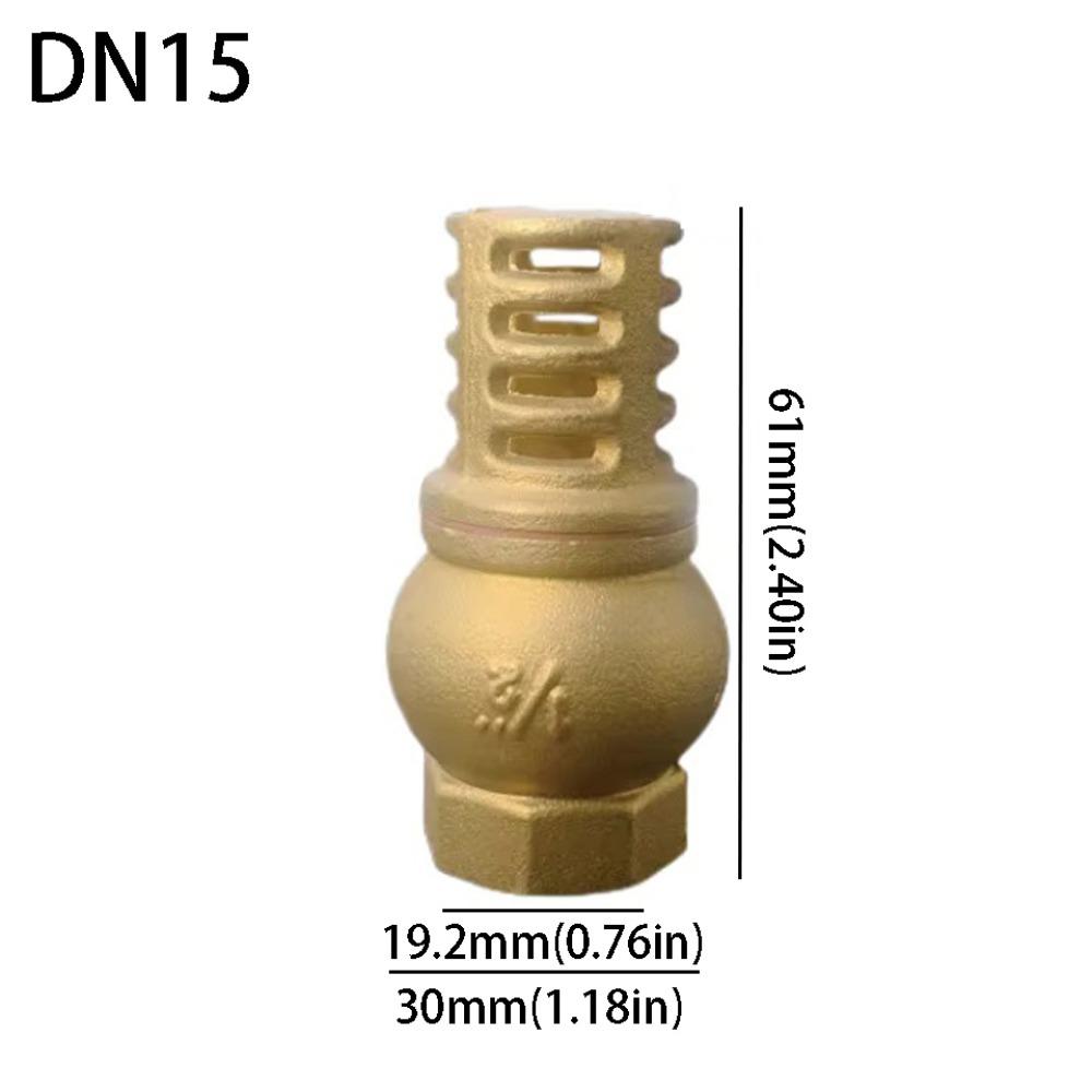 

Anti Backflow Brass Foot Valve Strong Metal Check Valve Brass Water Pump Valve Direct Supply DN15