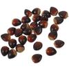 30 Pcs Foam Chestnut Artificial Nuts Decorations Fake Food Prop Nut Model Display Easy Clean Lightweight Portable
