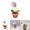 Knitting Handmade Flower Weaving Potted Plant Crochet Floral Decoration Diy