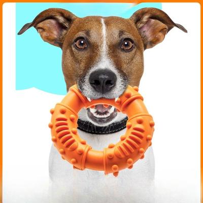 Gummi Haustierringe, Mittelgroß und Groß, Golden Retriever, Verschleißfest, Kaubar, Langweilig, Beißring Donut, Großer Hund