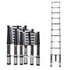 JAD Aluminum Telescopic Ladder