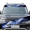 Išoriniai priedai – Automobilių lipdukai