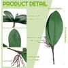 Chuangdi 6 Pieces Faux Phalaenopsis Orchids Leaves Artificial Orchids Leaves Green Leaf Plants Green Faux Leaf Latex Cymbidium Stems for Flowers