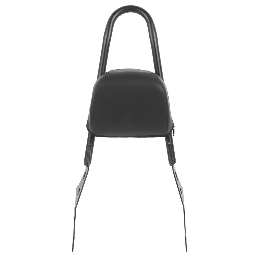 Detachable Motorcycle Backrest Bar Pad Kit Fit for XL883C XL883R 200R 200C XLH883 04-19