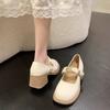 Mary Jane Shoes New Spring Thick Heel High Heel with Skirt Small Leather Shoes Fairy Gentle Wind Single Shoes