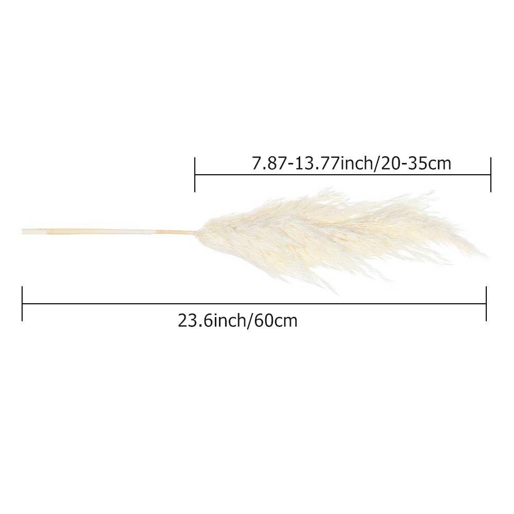 5/10/20Pcs White Reed Pampas Grass Wheat Ears Rabbit Tail Grass Natural Dried Flowers Bouquet Wedding Decoration Hay for Party Bohemian Home