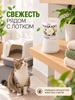 Smell absorber for the room - elimination of the smell of urine and old age