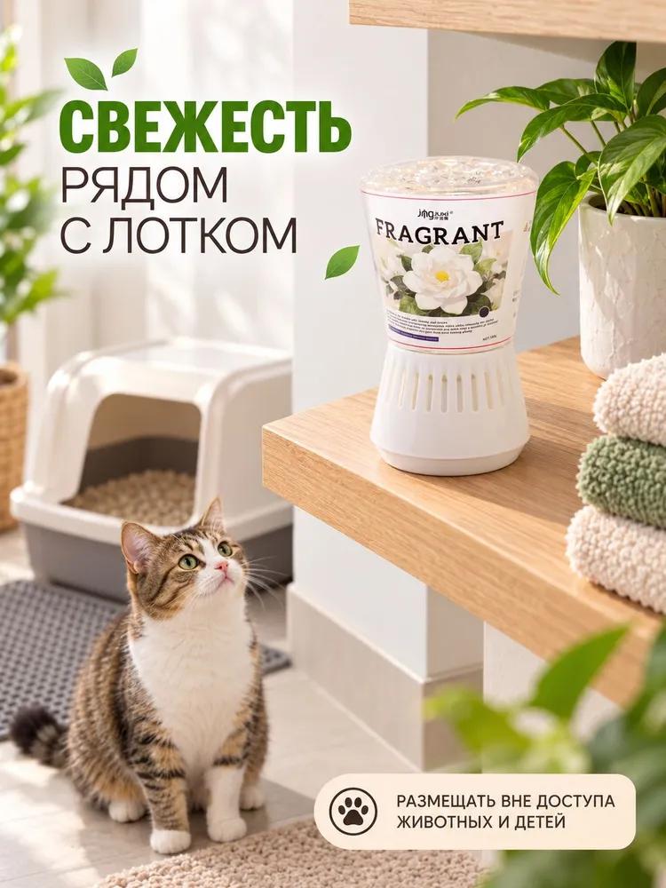 Smell absorber for the room - elimination of the smell of urine and old age
