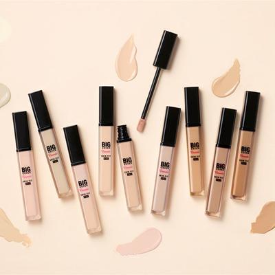 Big Cover Skin Fit Concealer PRO 7g (8 Color Options)