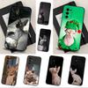 Pet Sphynx Sphinx Cat  For Samsung Galaxy A53,31,52,72,41,Note,J7,8,9,5G,22,73,32,71, Soft Black Silicone Case