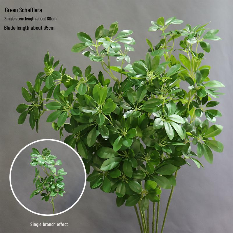 Asparagus Fern & Willow Buds Greenery for Wedding Decor & Landscaping