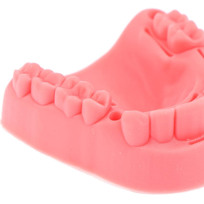 Teeth Gum Combination Model Silicone Material Training Suture Module