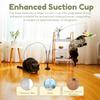 Interactive Cat Feather Toy Indoor Cat Teaser Stick with 2 Wand 11 Feather Toy Suction Cup and 2 Type Of Door Hanging Cat String