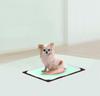Hario Dog Toilet Mat J Regular Brown
