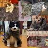 Pat pentru câini de iarnă Pătură pentru animale de companie Covoraș de dormit pentru animale de companie Husă caldă pentru pat pentru câini Pernă de canapea pentru animale de companie Saltea pentru câini de talie mică Chihuahua Bulldog