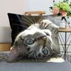 Niedlicher Kissenbezug mit Tiermotiv fürs Bett, Sofa, Auto, Zuhause, Haustier, Katze, bedruckt