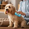 Hollow Pet Hair Removal Brush Silicone Pet Cleaning Comb Creative Dog Hair Remover