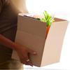 Five Layer Carton Shipping Packaging Thickened Transportation Packaging Carton  For Household Use