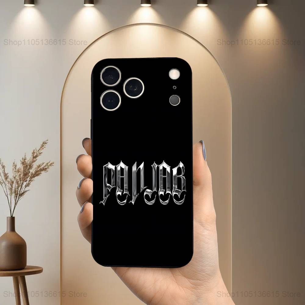 

Map Punjab Art Phone Case For iPhone 17,16,15,14,13,12,11 Plus,Pro Max,XS,X,XR,SE,Mini,8,7,Soft Silicone Black Cover iPhone16pro