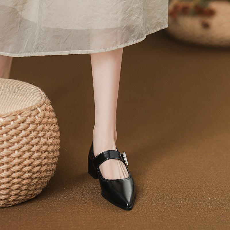 Mary Jane shoes women's French style 2025 autumn new black pointed thick heel temperament single shoes high sense not tired feet