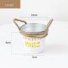 Small Retro Distressed Whitewashed Tin Flower Pot for Tabletop or Balcony Decor, Ideal for Succulents and Iron Lettering