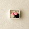 Candy Color Contact Lenses Box Cute Bow Portable Contact Lens Case with Tweezer Suction Stick Set for Travel Kit Holder