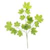 12pcs / Mazzo Artificial Silk Autumn Maple Leaf Wedding Party Make Floral