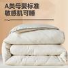 FAMCX GJILY Soybean Fiber Filling Comforter Queen Size Warm Comfortable Duvet Quilted Thin Blanket Double Bed Bedding 180x220