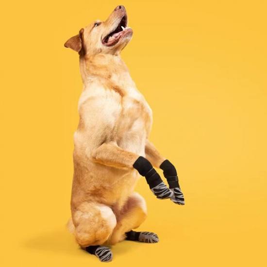 4pcs Pet Dog Shoes Anti-slip Boots Sock for Small Medium Large Puppy Paw Protect