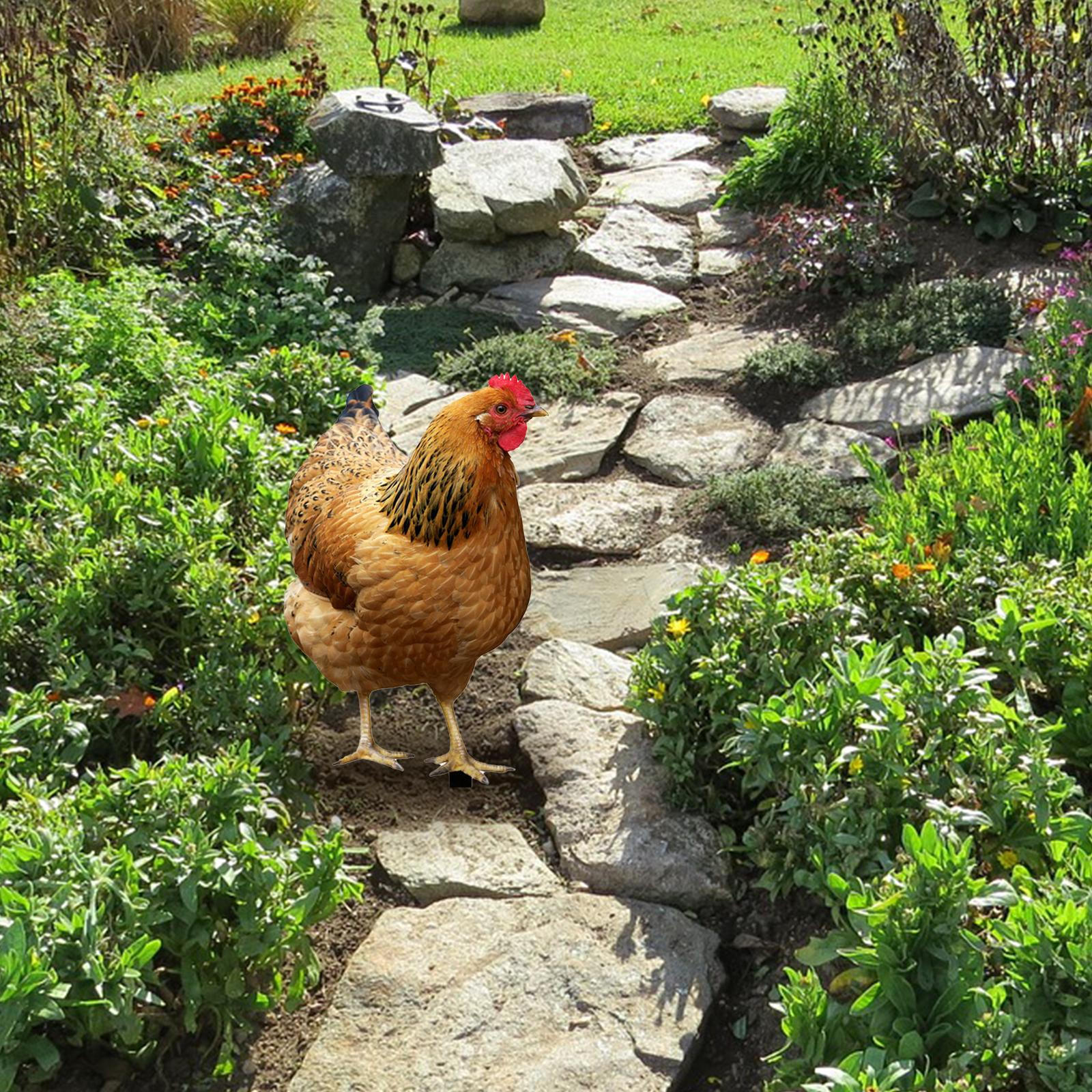 

Курка Декоративний Садовий Стай Тварина Смішна Курка Акриловий Двір Арт Декор Орнамент для Доріжки, 31.5cmx17.4cm