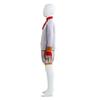 Halloween costume cosplay monster shrek gnome cos costume elf stage costume