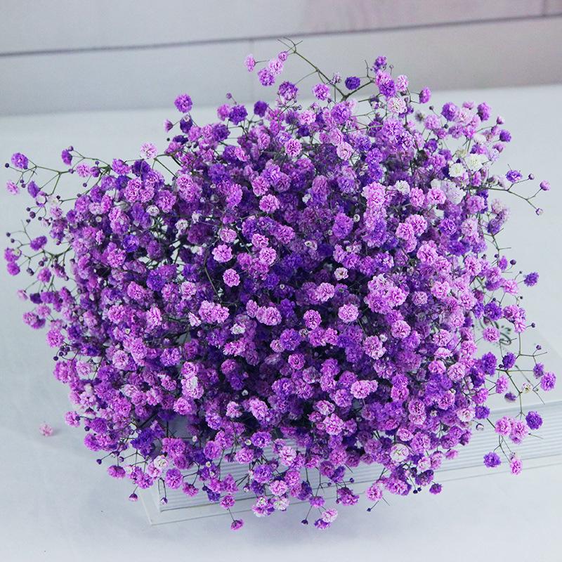 Baby's Breath Dried Flower Bouquet for Living Room Decor - Real Fresh Cut Flowers, Perfect for Gifting and Decorative Ornaments.