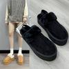 Fashion Autumn and Winter New Platform Woolly Platform Shoes Women's Home Baotou Cotton Slippers