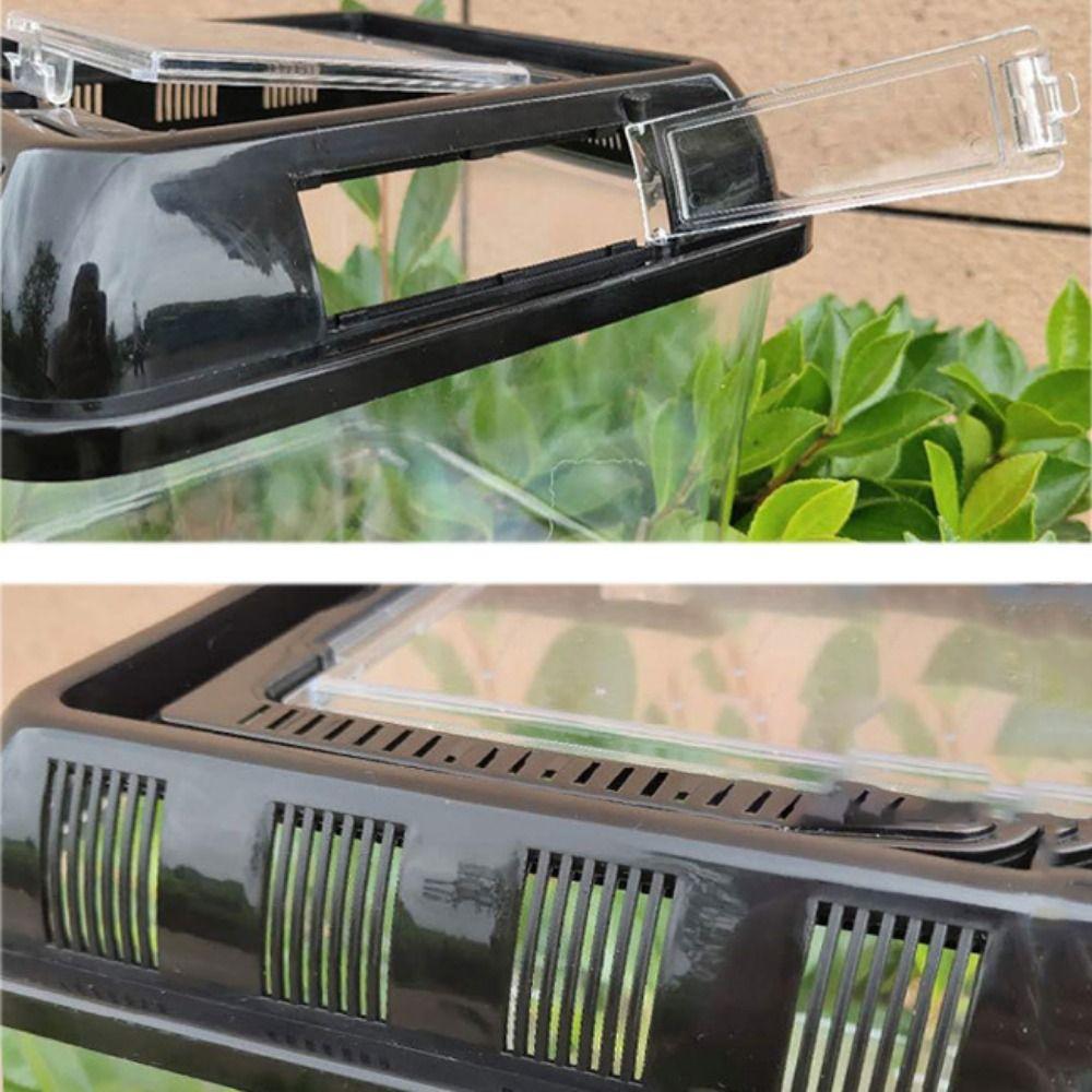 Handheld Portable Fish Tank Plastic Reptile Terrarium Peractical Fish Bowl  Home