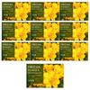 Happy Bath Dubore Freesia Soap 100g 10 Pcs