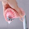 New Flexible Plastic Brush for Floor, Laundry, Tile, Kitchen and More