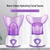 Aromatherapy Facial & Eye Steamer: Hydrating Steam Spray Device