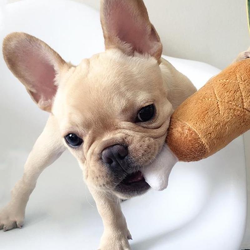 

Очарование Плюшевые игрушки для собак Кошка Щенок Звук 1PC Жевать игрушку Принадлежности для домашних животных Куриная ножка Новые двойные кости Пищалка Собака Бусина 1Pc