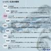 Tomoda Bubble Powerful Soap Bubble Liquid 250ml 2-Pack Outdoor Play Made in Japan