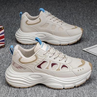 New Spring Student Breathable Mesh Thick-soled Heightening Sports and Leisure Dad Shoes