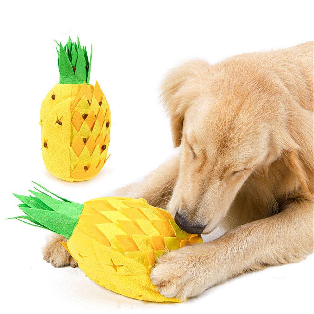 dog pineapple toy