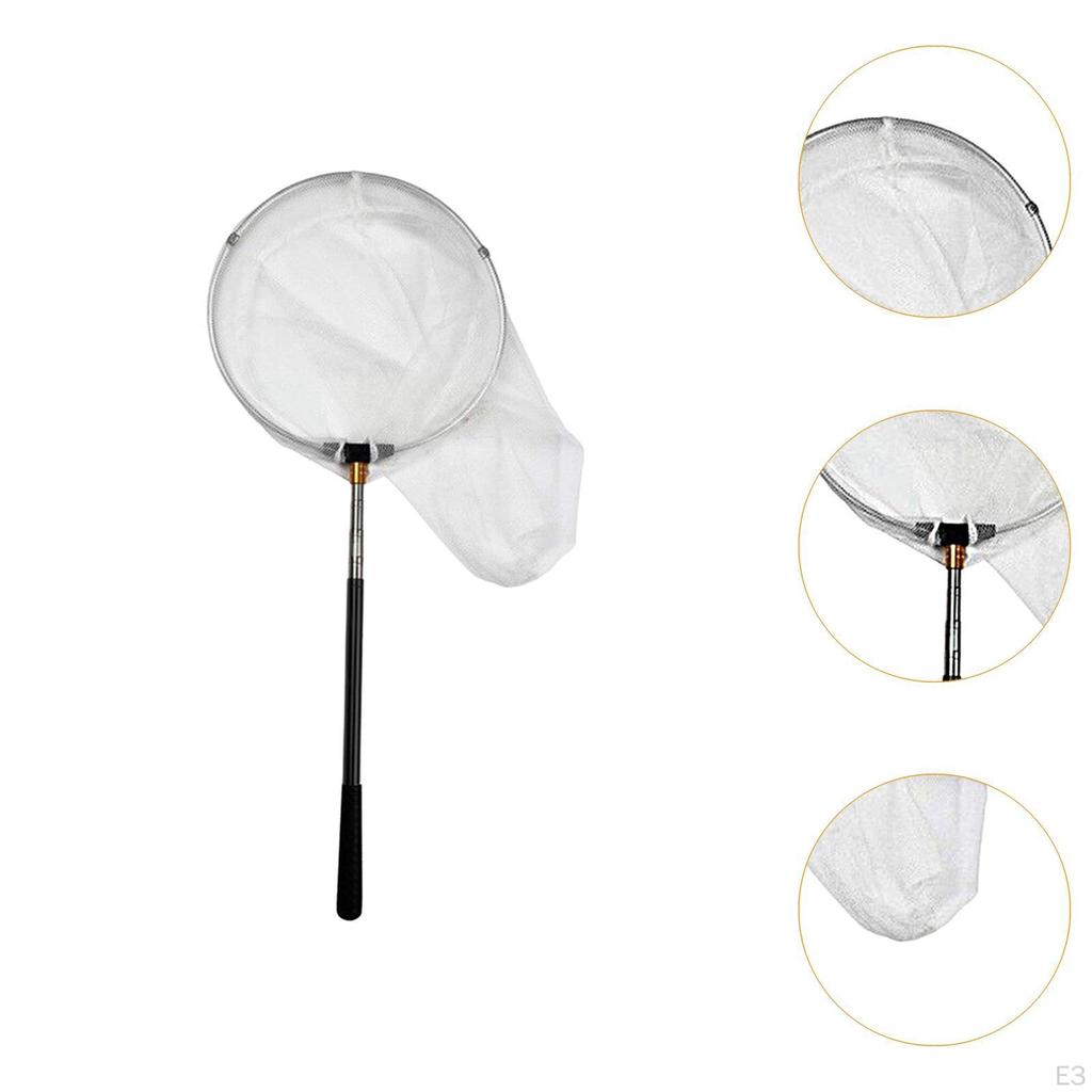 Landing Net Telescoping for Kids Adults Fishing Prawns Salmon Pond