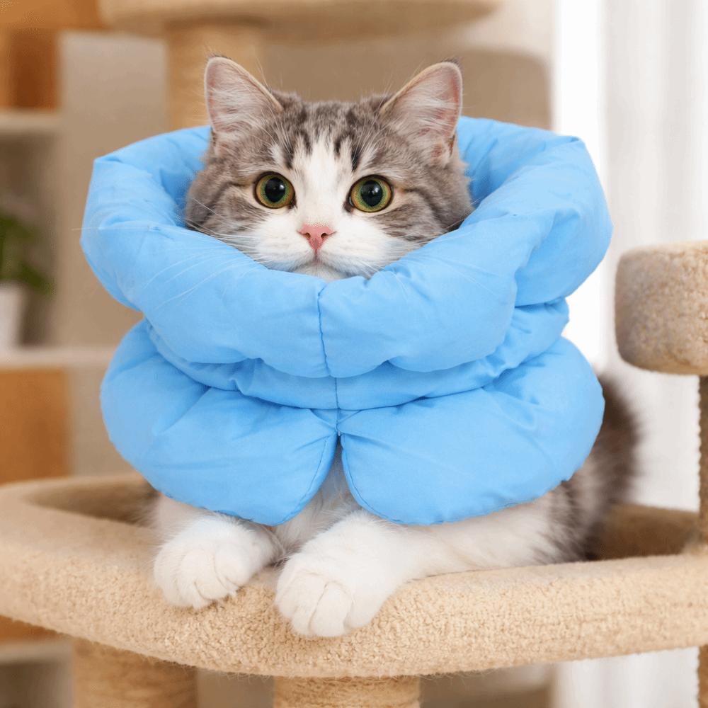 Waterproof Pet Elizabethan Collar Adjustable Cat Protection Collars Pet Neck Protector Pet Wound