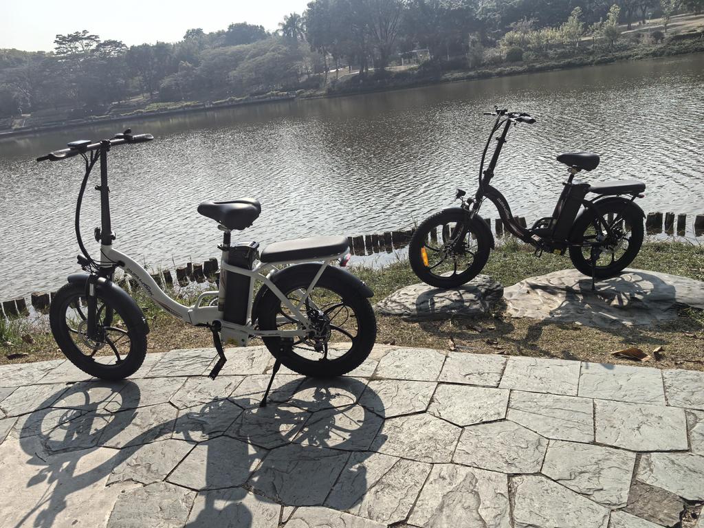 ZAZAWORK 20-inch Folding Electric Bike 250W 47Nm Motor 48V 16Ah Battery 25km/h Speed 100km Range 7 Speeds Spring Suspension Disc Brakes