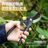 Deli Tools Labor-Saving Alloy Steel Pruners: Garden, Tree, and Flower Branch Pruning - Model D580201