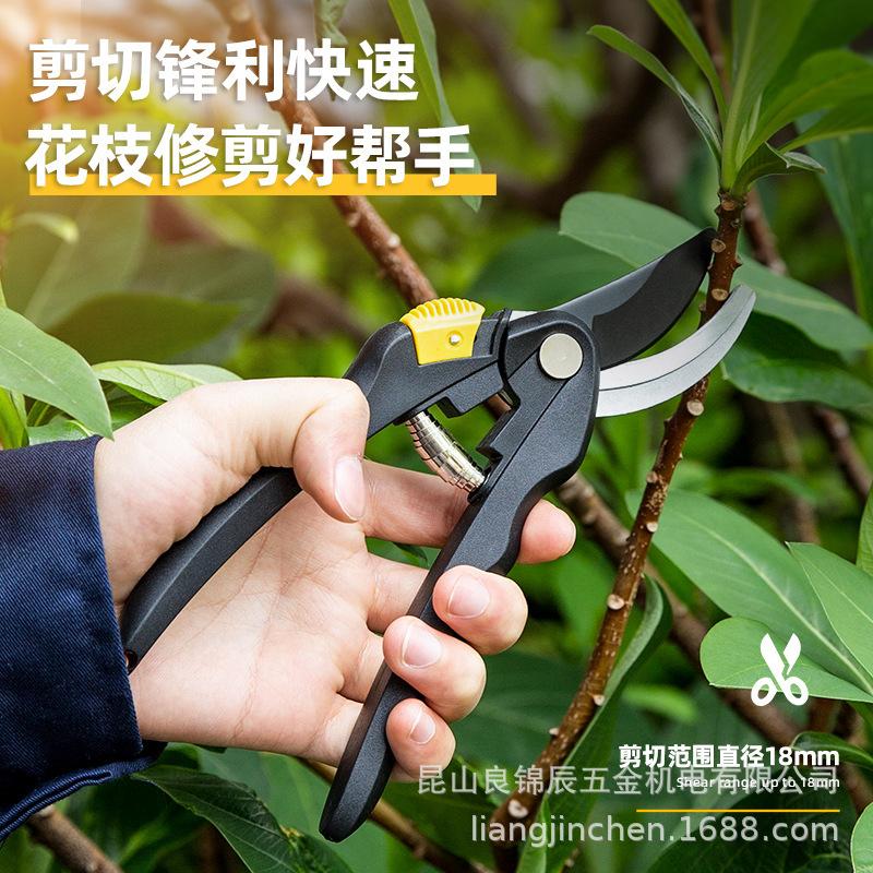 Deli Tools Labor-Saving Alloy Steel Pruners: Garden, Tree, and Flower Branch Pruning - Model D580201